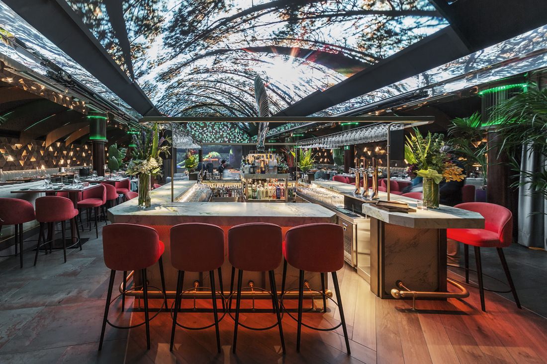 Quintoelemento | Macarfi