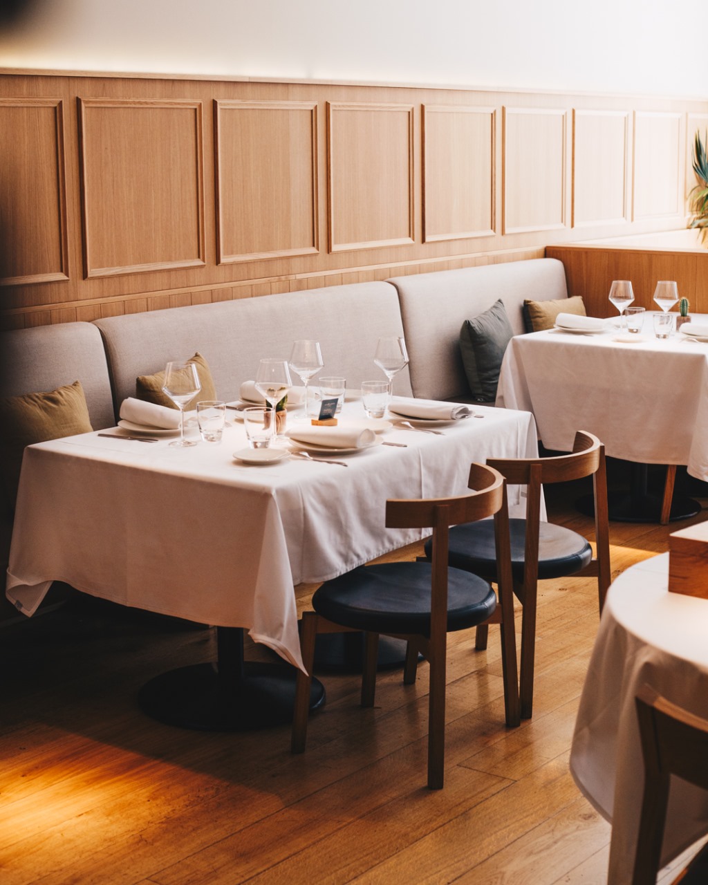 Restaurantes | Macarfi